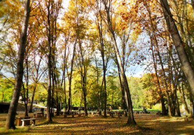 Descobreix les millors zones de pícnic del Vallès Oriental